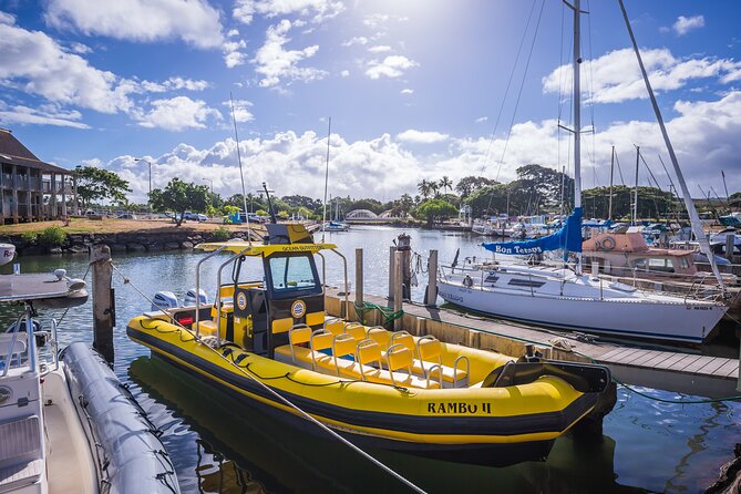 1.5-Hour Guided Whale Watching Tour - The guide experience: what Kevin and the crew do well on the water