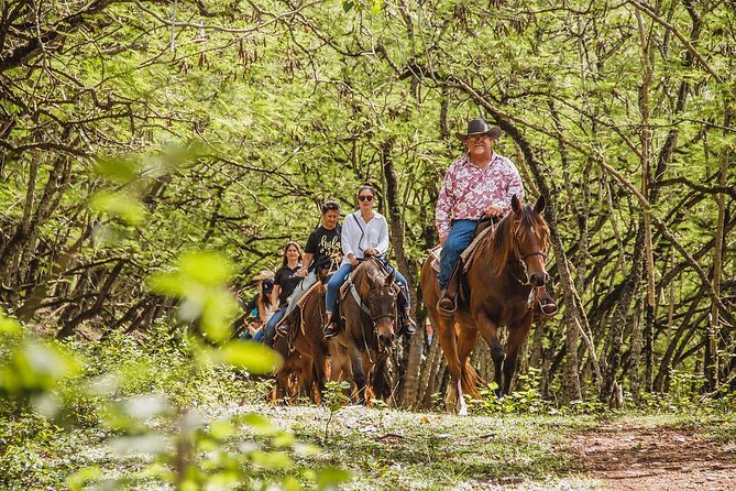 1 Hour Scenic Horseback Ride - Key things worth knowing before you book