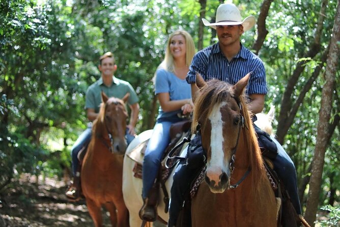 1 Hour Scenic Horseback Ride - Why this 1-hour horseback ride works so well on Oahu