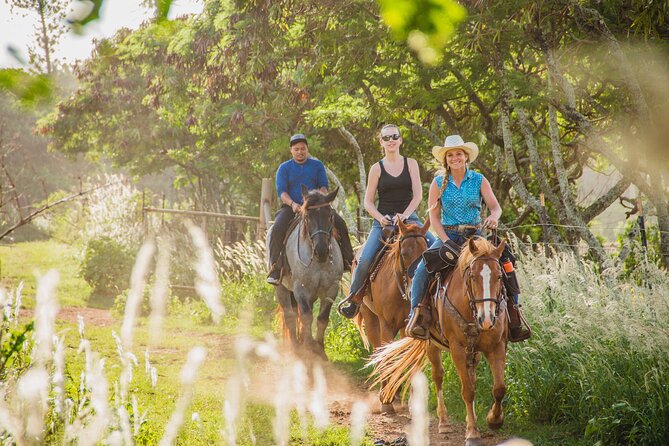 1 Hour Scenic Horseback Ride - Beginner-friendly rules you should know before you mount