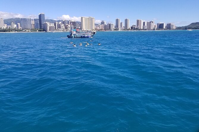 12pm Turtle Canyon Snorkel Adventure - What’s included (and what you’ll want to bring yourself)