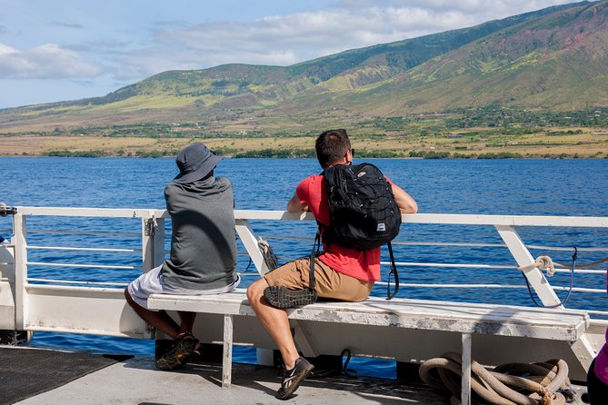 2-Hour Oahu Whale Watch from Ala Wai Harbor, Waikiki - The onboard whale-finding game: how the crew boosts your odds