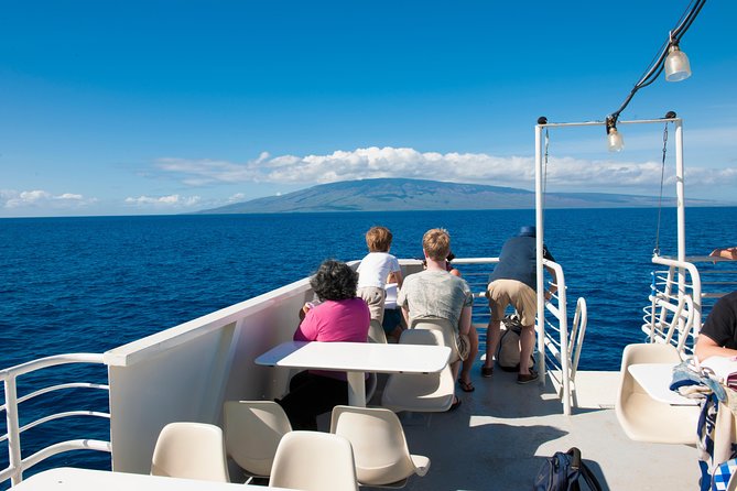 2-Hour Oahu Whale Watch from Ala Wai Harbor, Waikiki - Price and value: why $49.95 can be a bargain, or a disappointment