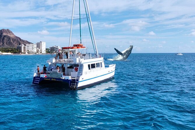2 Hour Waikiki Whale Watching Cruise from Oahu - Key things that make this cruise work in real life