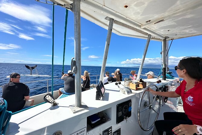 2 Hour Waikiki Whale Watching Cruise from Oahu - Price and value: $40 looks simple, but check the full total