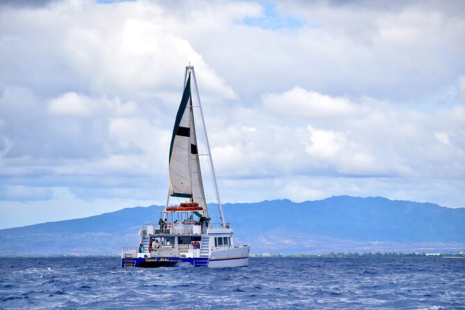 2 Hour Waikiki Whale Watching Cruise from Oahu - What’s included onboard: snacks, rooms, restrooms, and real comfort