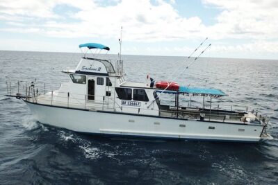 3-Hour Honolulu Bottom Fishing Adventure - The boat ride that keeps Honolulu in view