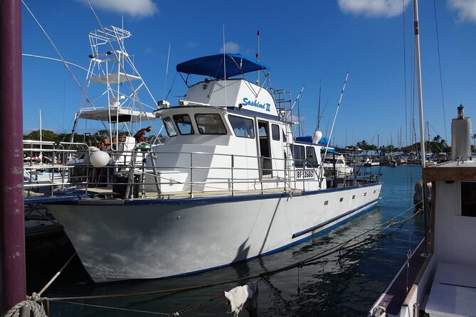 3-Hour Honolulu Bottom Fishing Adventure - Wildlife Sightings: Not Guaranteed, But It Happens