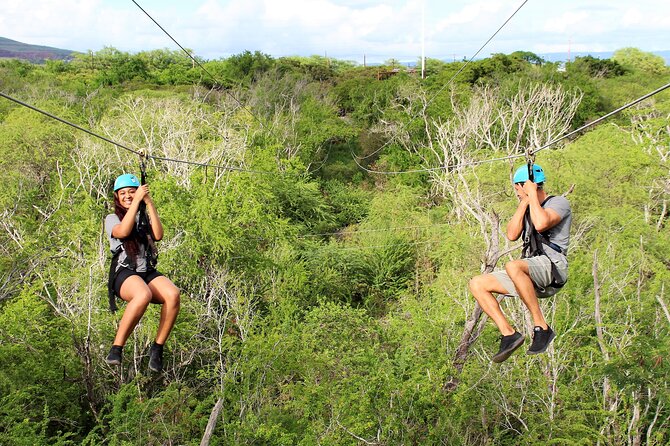 6 Zipline Adventure at Coral Crater (Optional Waikiki Shuttle) - The treetop jungle route: what you should expect on the lines