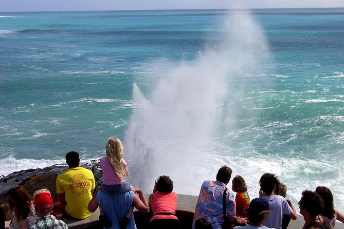 All Inclusive Ultimate Circle Island Tour, Waimea Falls & Lunch - Tanaka Kahuku Shrimp Lunch: North Shore Flavor With a Vegetarian Option