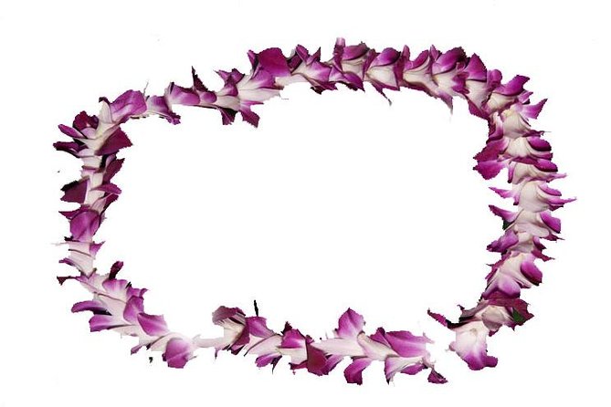 Aloha Lei Greeting on Arrival in Honolulu - Key Things To Know Before You Go