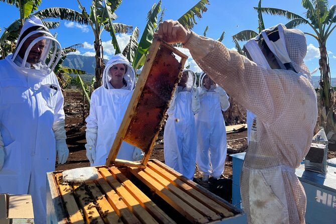 Bee Farm Ecotour and Honey Tasting in Waialua, North Shore Oahu - The short banana-tree walk to the hives (and why it’s worth it)
