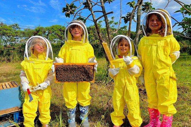 Bee Farm Ecotour and Honey Tasting in Waialua, North Shore Oahu - Seeing bees at work: queen spotting, bee-birth moments, and frame handling