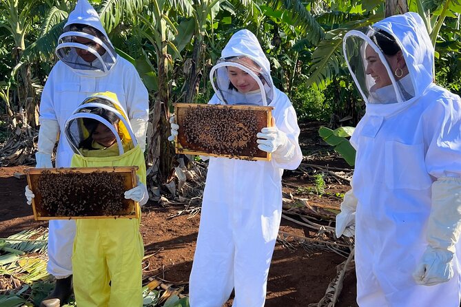 Bee Farm Ecotour and Honey Tasting in Waialua, North Shore Oahu - Photos and souvenirs: take home more than just a jar