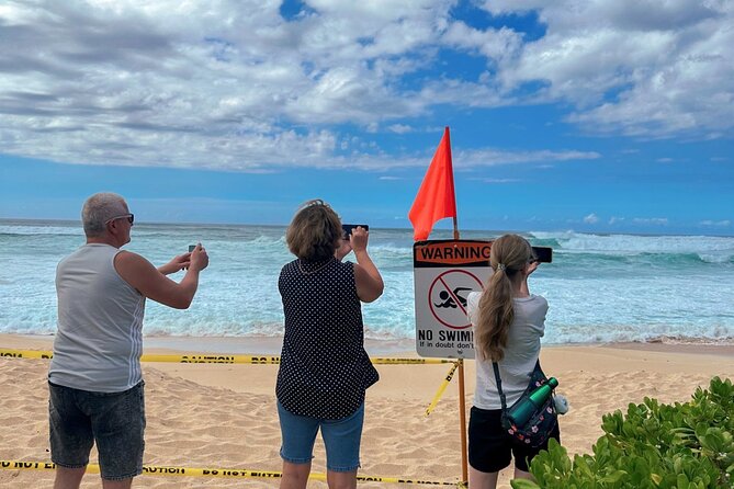 Best of Oahu Full-Day Small-Group Island Tour - Dole Plantation: the quick pineapple stop that actually refreshes you