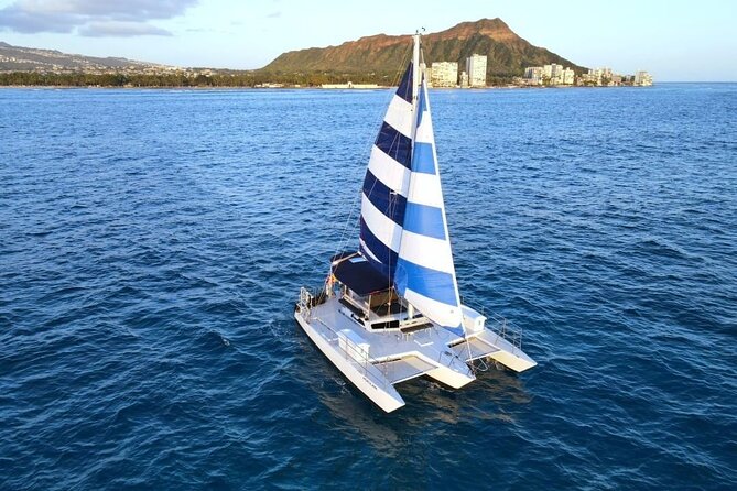 Best Waikiki Whale Watching in Honolulu: Whales Guaranteed - The Trimaran Layout: Best Views, Better Photos, Less Motion