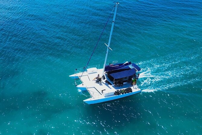 Best Waikiki Whale Watching in Honolulu: Whales Guaranteed - BYOB Onboard: What to Bring and How to Protect Your Phone