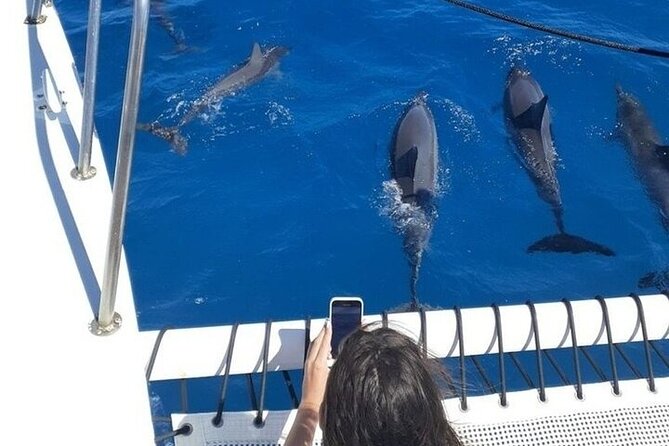 Best Waikiki Whale Watching in Honolulu: Whales Guaranteed - Weather, Seas, and the One Thing You Should Expect: Variability