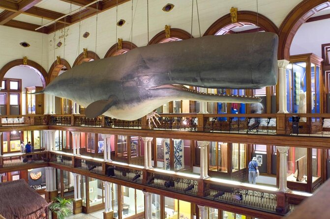 Bishop Museum General Admission Ticket - Bishop Museum in Honolulu: What General Admission Really Covers