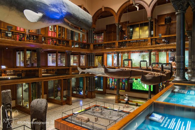 Bishop Museum General Admission Ticket - Navigating a Big Museum Campus Without Losing Your Day