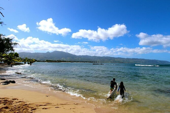Cage-Free Shark Swim from Oahu - Shark Swim on O’ahu’s North Shore: Why This One Feels Different