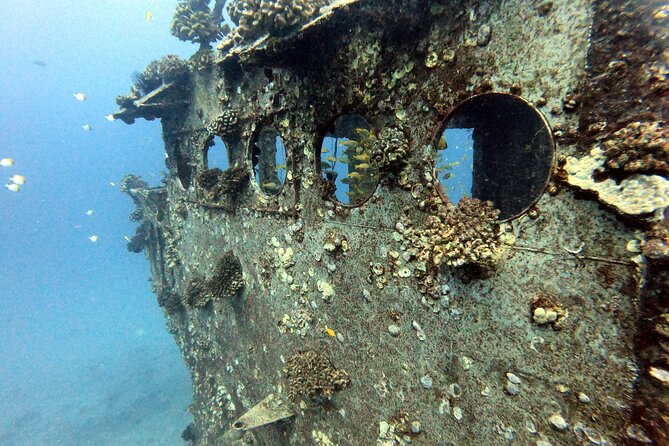 Certified Diver: 2-Tank Deep Wreck and Shallow Reef Dive Off Oahu - Sea Tiger wreck tank: expect wildlife, not a guaranteed swim-through