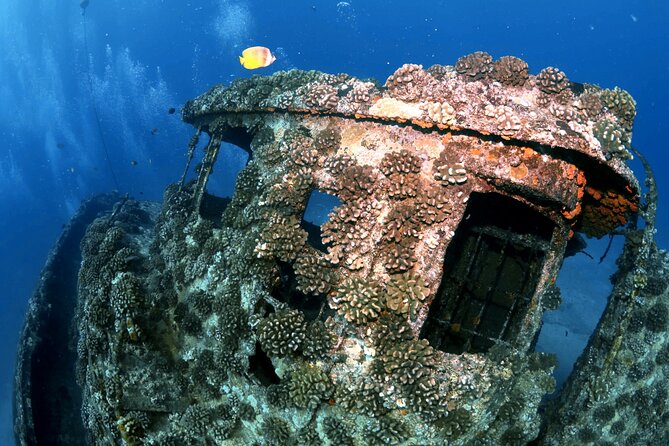 Certified Diver: 2-Tank Deep Wreck and Shallow Reef Dive Off Oahu - The crew and captain culture: why people keep naming the same names