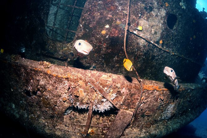 Certified Diver: 2-Tank Deep Wreck and Shallow Reef Dive Off Oahu - Gear, snacks, and add-ons: what’s included and what you may want