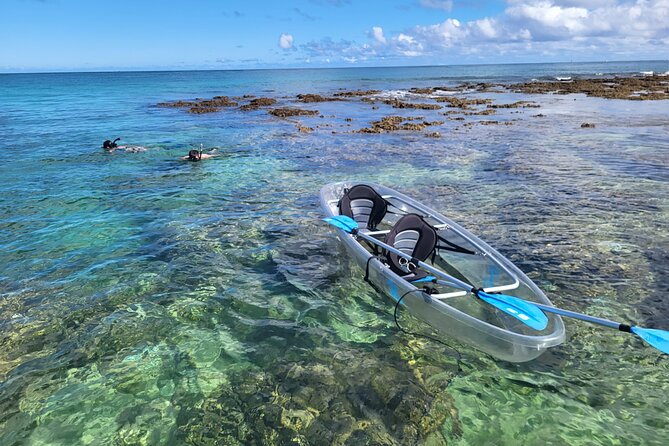 Clear Bottom Kayak - Guaranteed to see Turtles! - Key highlights I’d bet on