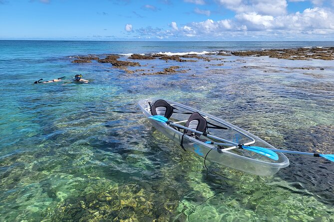 Clear Bottom Kayak - Guaranteed to see Turtles! - Clear-Bottom Kayaking on Oahu’s North Shore: Why It Works