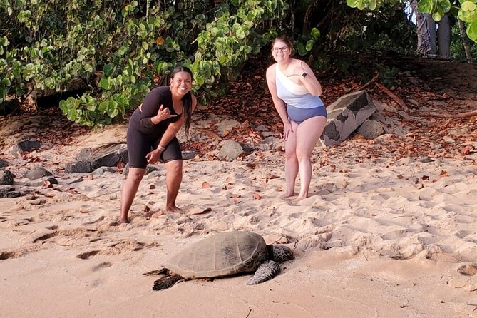 Clear Bottom Kayak - Guaranteed to see Turtles! - Your Guide Makes the Difference: Named Pros and What They Do Well