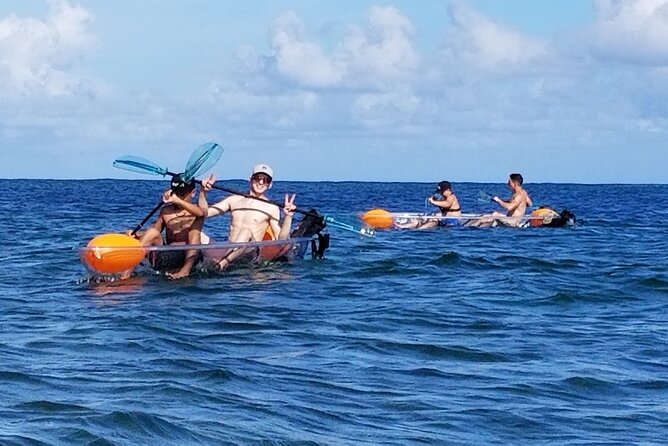Clear Bottom Kayak - Guaranteed to see Turtles! - Who Should Book This Turtle Kayak Tour (and who might skip it)
