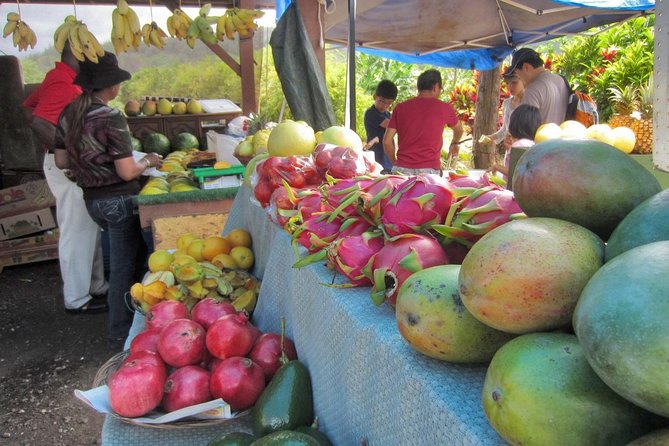Custom Island Tour - for 4 to 5 people - up to 8 hours - Private tour of Oahu - Price and value: is $700 per group worth it?