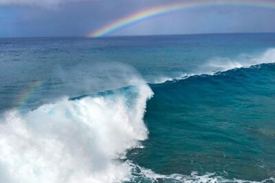 Customizable Island Tours Tours on Oahu - A sample 10-hour mix: Dole, Waimea Bay, Sunset Beach, and North Shore time
