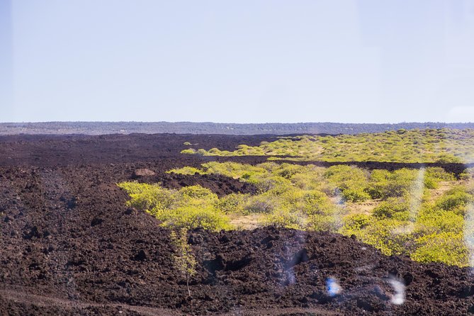 Day Trip from Oahu to Hilo: Volcano Adventure - What makes this tour work for most people