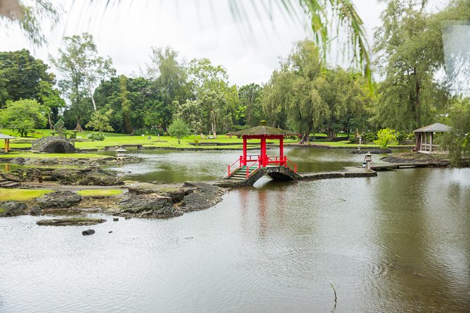 Day Trip from Oahu to Hilo: Volcano Adventure - Akaka Falls and Rainbow Falls: two different waterfall moods