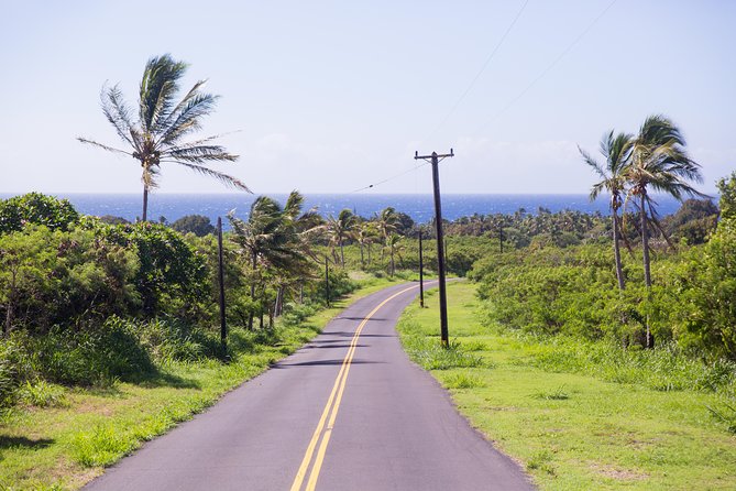 Day Trip from Oahu to Hilo: Volcano Adventure - Lunch, timing, and why your expectations matter