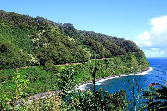 Day Trip from Oahu to Maui: Road to Hana Adventure - Who This Tour Fits Best (And Who Should Rethink It)