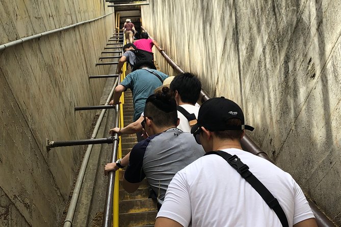 Diamond Head Bike to Hike and Local Lunch - Diamond Head State Monument: lookout views plus the Amelia Earhart stone