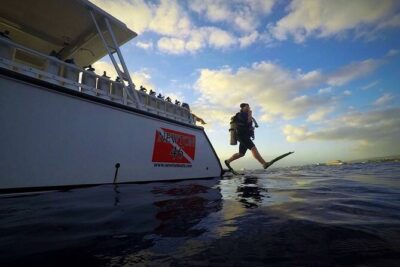 DISCOVER Scuba Diving Experience in Honolulu - The Reef Time: What You’re Likely To See Off Oahu