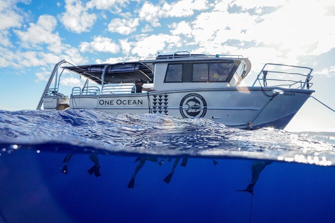 Dive with Sharks in Hawaii: Shark Tour from Haleiwa - The 2-Hour Flow: What Happens From Harbor to “Back Shore”