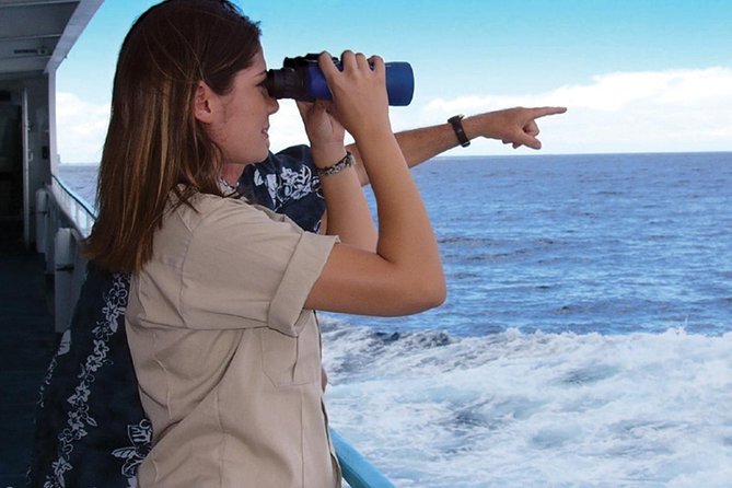Early Bird Whale Watching Cruise from Waikiki - The included breakfast: a small thing that makes the cruise feel easier