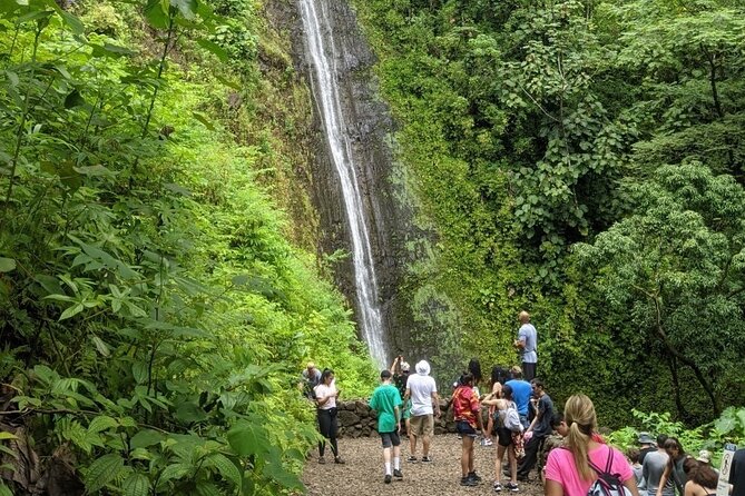 Electric Bike Ride & Manoa Falls Hike Tour - What’s actually included (and why it’s good value)