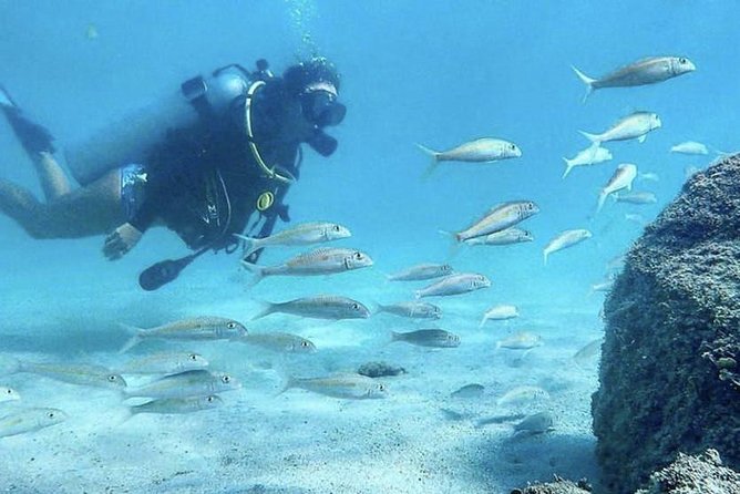 First-Time Scuba Diving in Honolulu + Free Videos - Magic Island Lagoon start: where calm starts matter