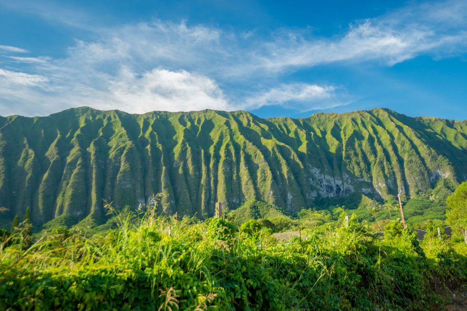From Waikiki: Best of Oahu Photo Tour with Pickup - Makapu‘u Point and Halona: the east-coast photo payoff
