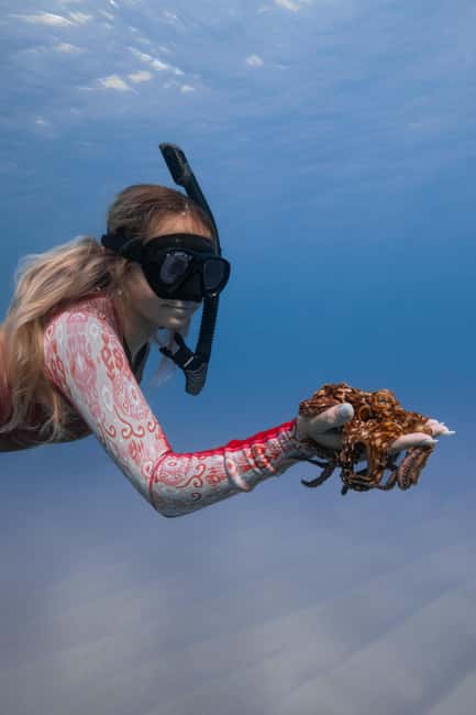 From Waikiki: Turtle Canyon Snorkeling Tour - Safety and who should consider passing on this tour