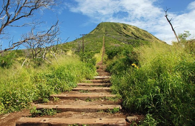 Full-Day Guided Adventure in Koko Head Stairs and Southeast O'ahu - What You’ll Really Remember
