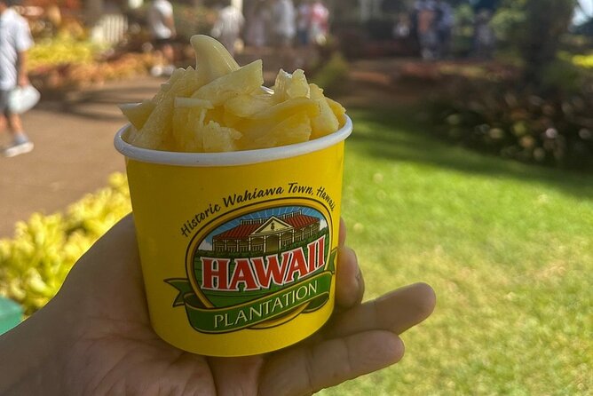 Full Day Oahu Circle Island -Turtle Beach Snorkel at North Shore - North Shore Fruit Stands and Haleiwa Outskirts: The Quick Flavor Detour