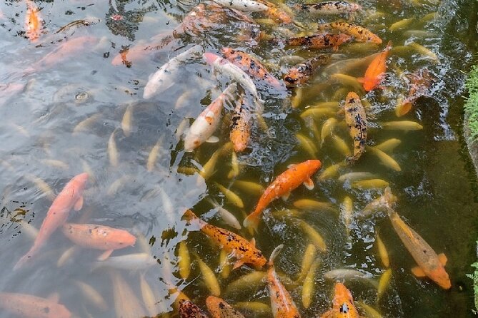Full Day Oahu Tour with Byodo Temple & Waimea Waterfalls - North Shore flavor stop: shrimp at Fumi’s and choices for non-seafood eaters