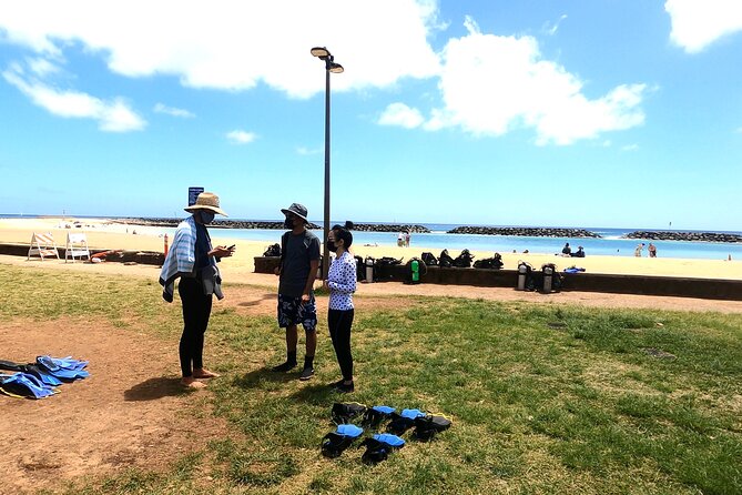 Guided Snorkel Tour for Beginners in Honolulu - Entering the water: what the lesson actually teaches